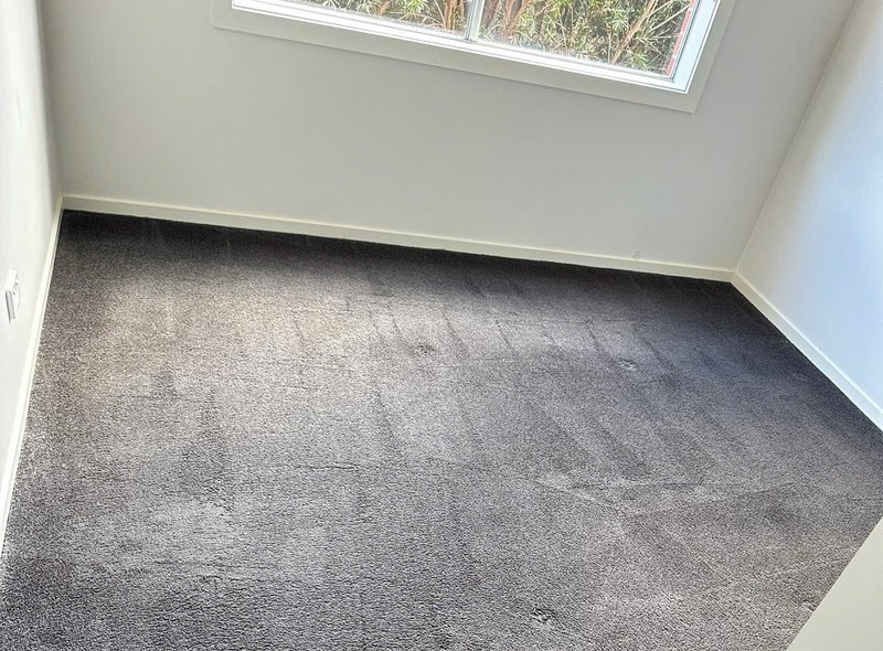Carpet after Steam Cleaning