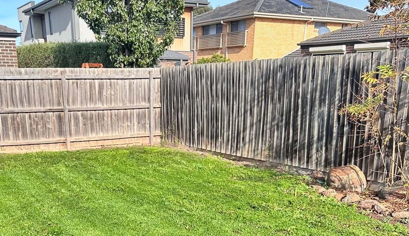 Lawn and garden after gardening work