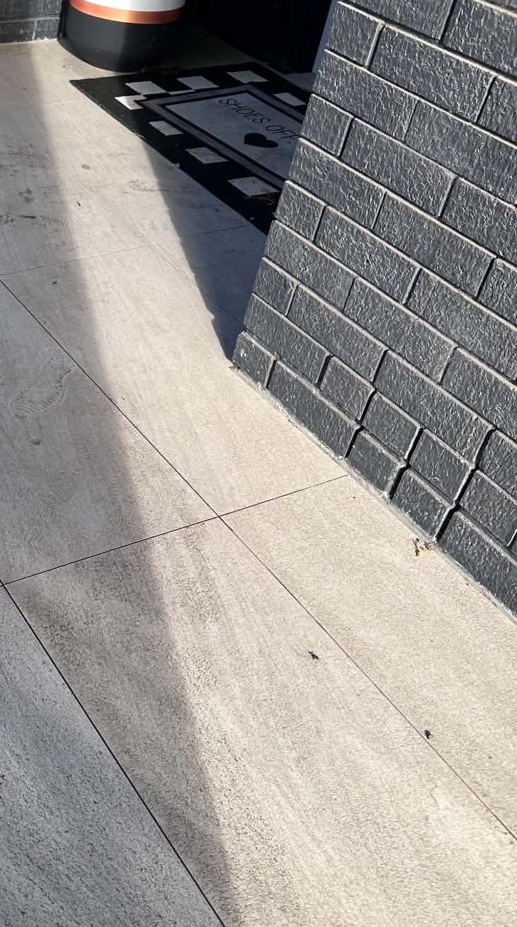 Residential entrance tiles before pressure washing